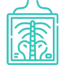 magerie Osteo Articulaire