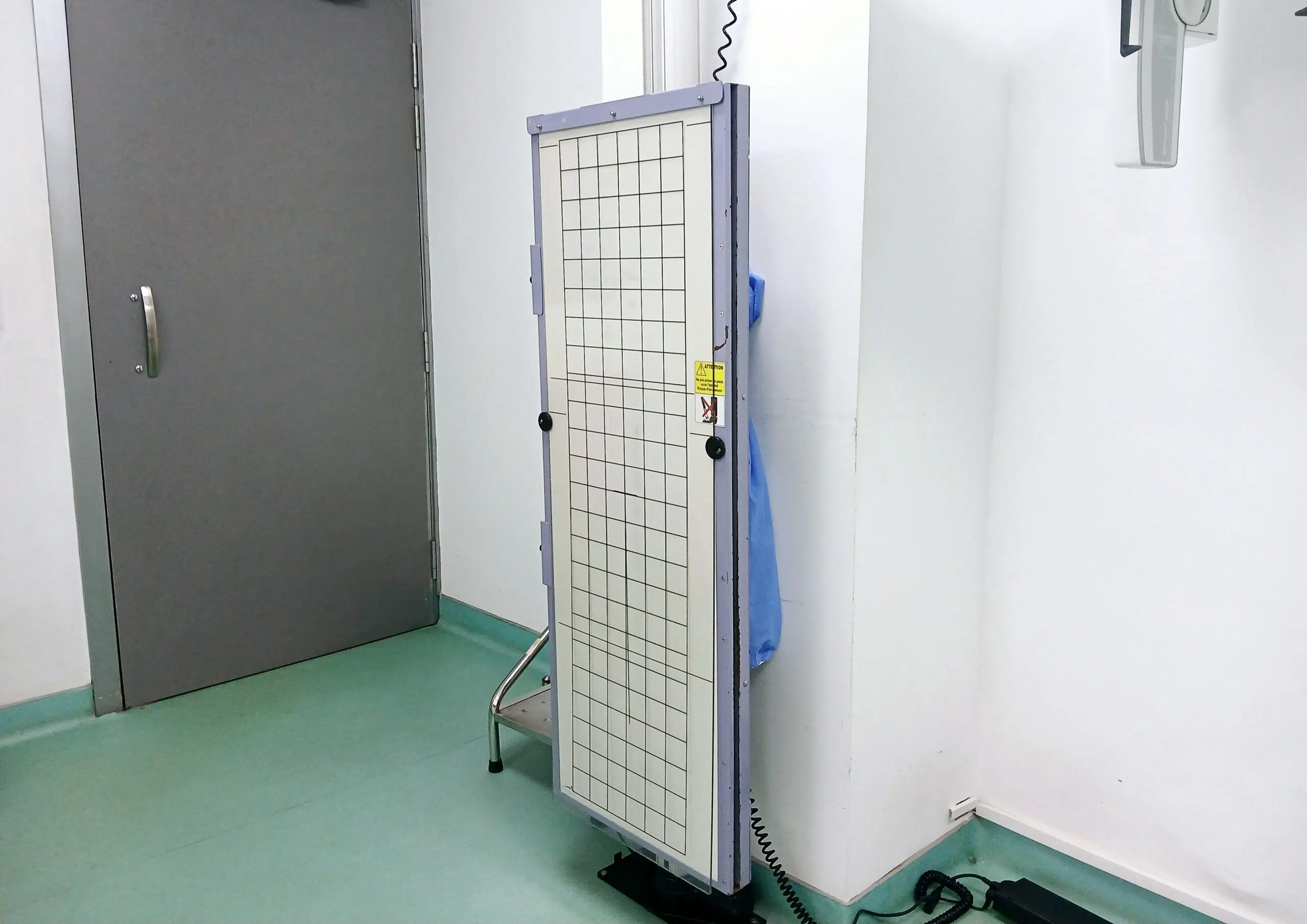 Rachis entier scaled